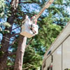 Bucket Truck Rear view square