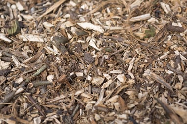 Detailed view of wood chippings in a pile