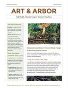 Preview of Fall 2023 Arbutus Tree Service Newsletter: Summer Soils Edition
