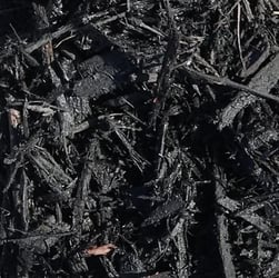 dyed black mulch is dyed with natural carbon but also may contain creosote or other concerning preservatives