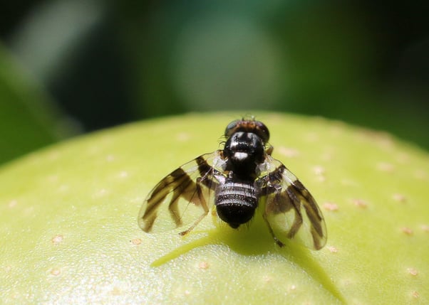 image-Jun-13-2025-12-37-55-5951-AM