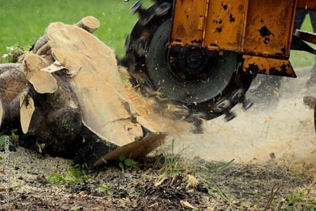 Close-up of a stump grinding machine removing a tree stump in a Vancouver backyard.