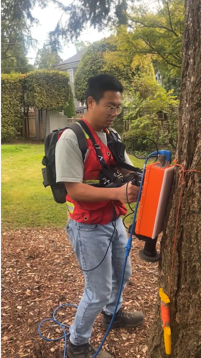 An arborist using Tree Radar to scan the base of a Douglas fir to assess structural integrity.