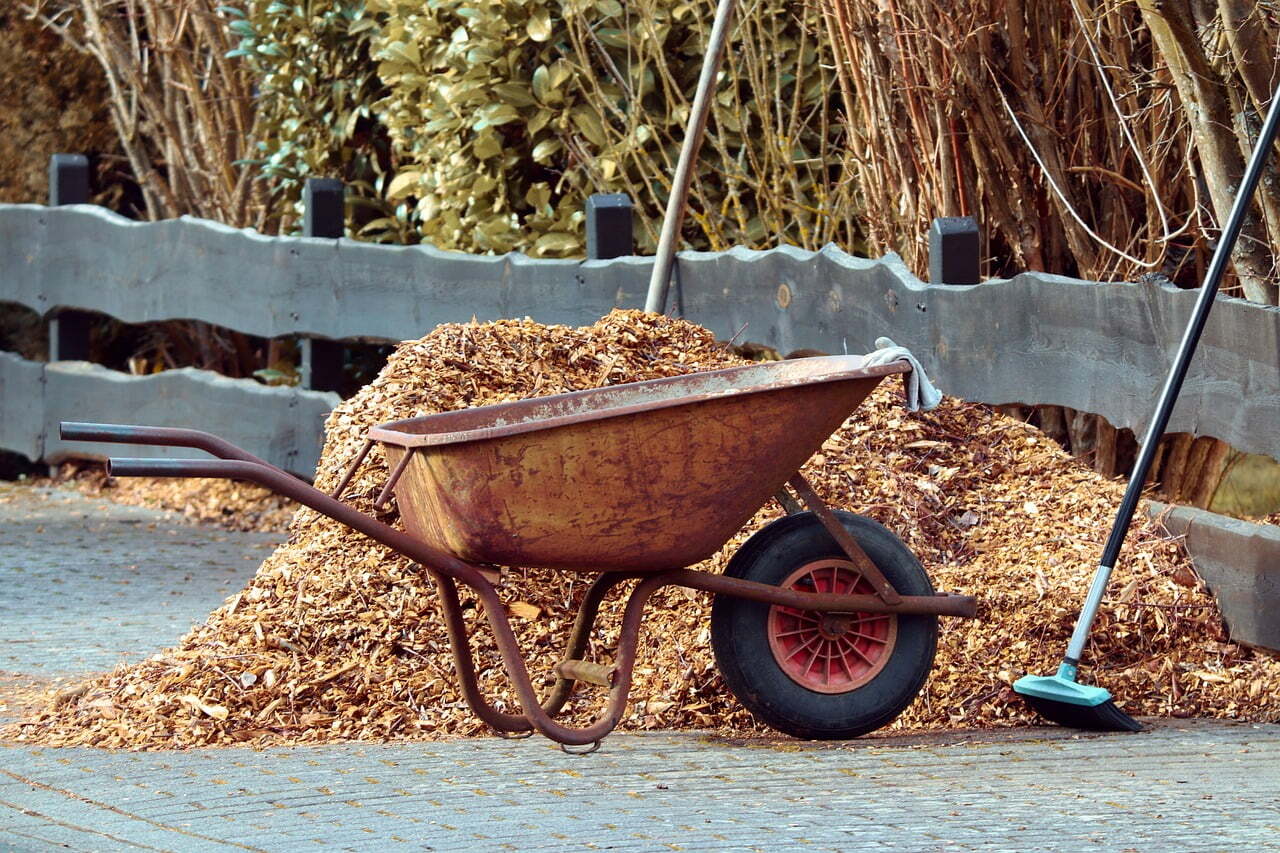 Mulching 101: How to Mulch Your Trees the Right Way