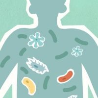 pexels-photo-5841803-5841803 Illustration depicting microbiome within a human silhouette on a textured background.
