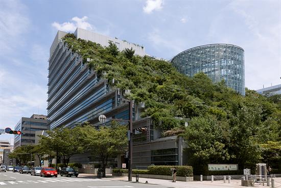 When trees and buildings meet
