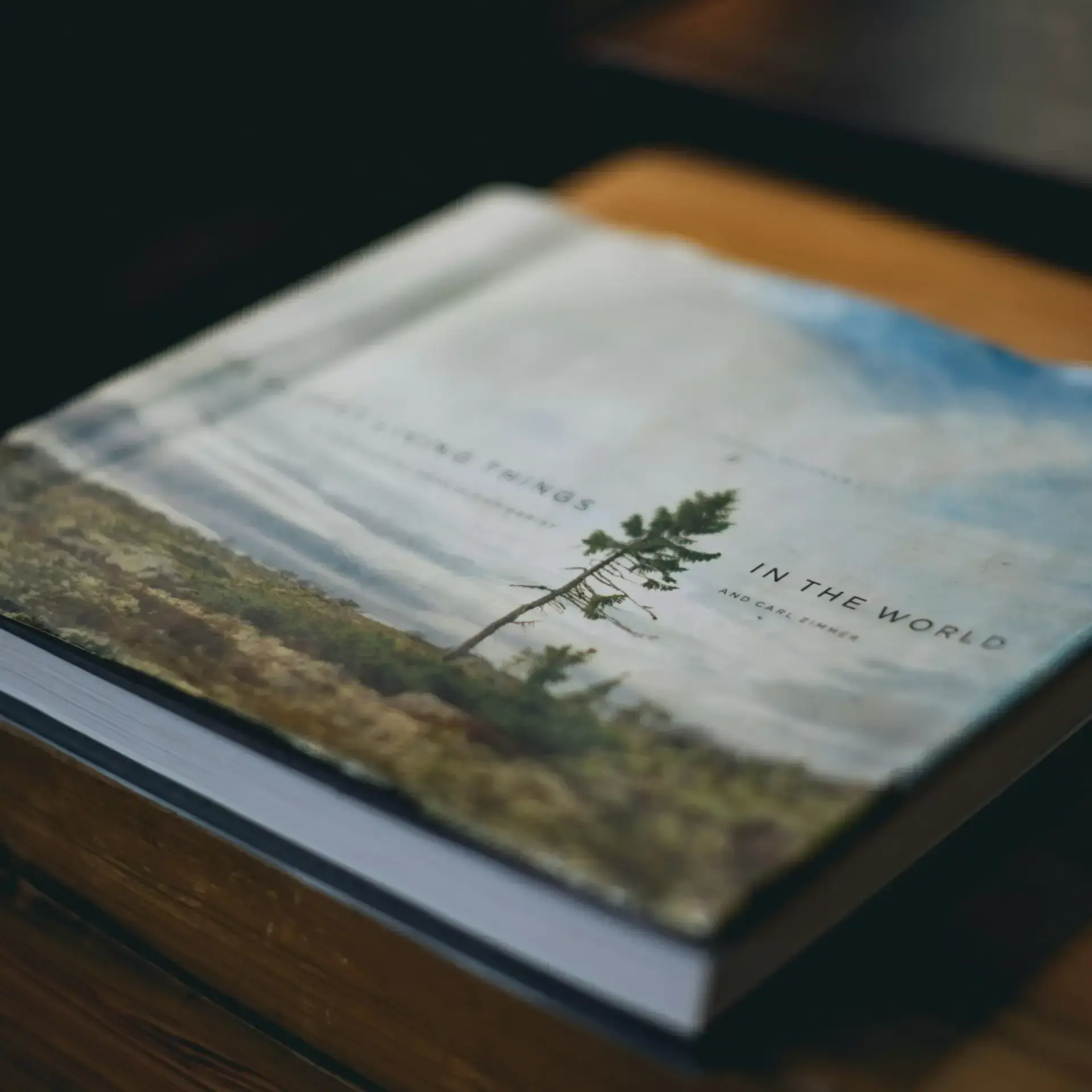 Tree management report plan in book formate Tree management report plan in book formate